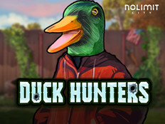 Slot Duck Hunters
